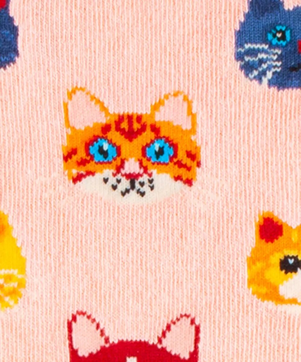 Pinky Kitten