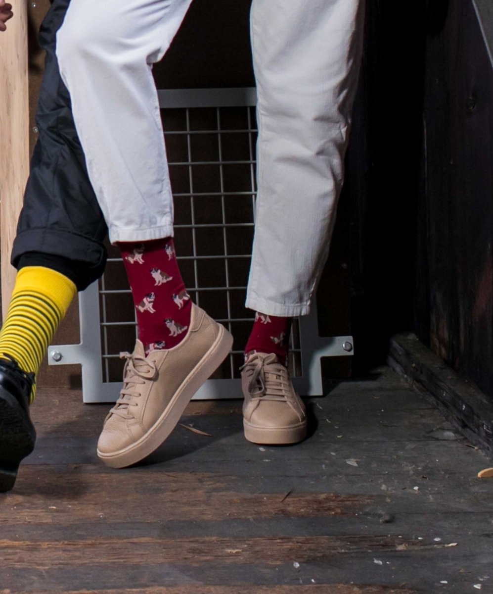 Socken Rasp Barry von DillySocks