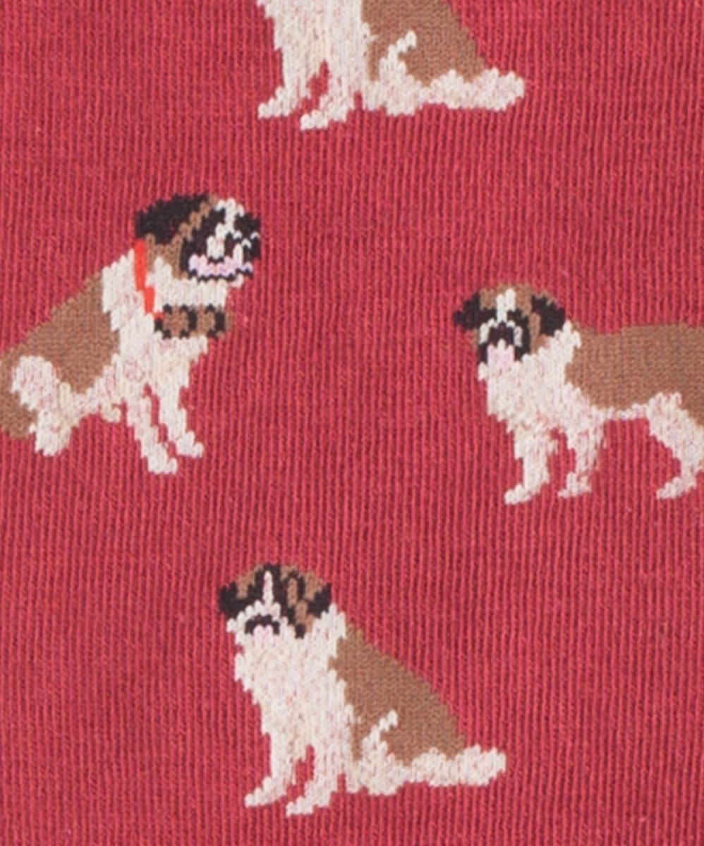 Socken Rasp Barry von DillySocks