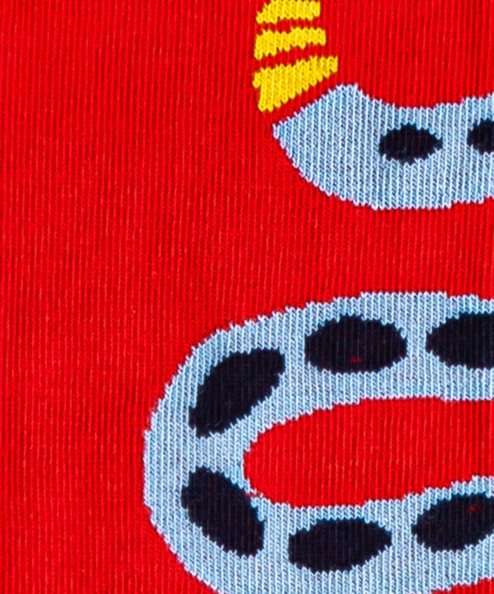 Rattle Snake