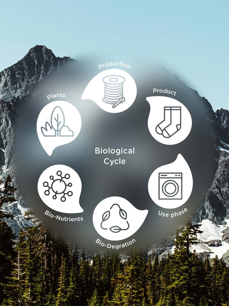 D-Compose Night Black (pack de 2)