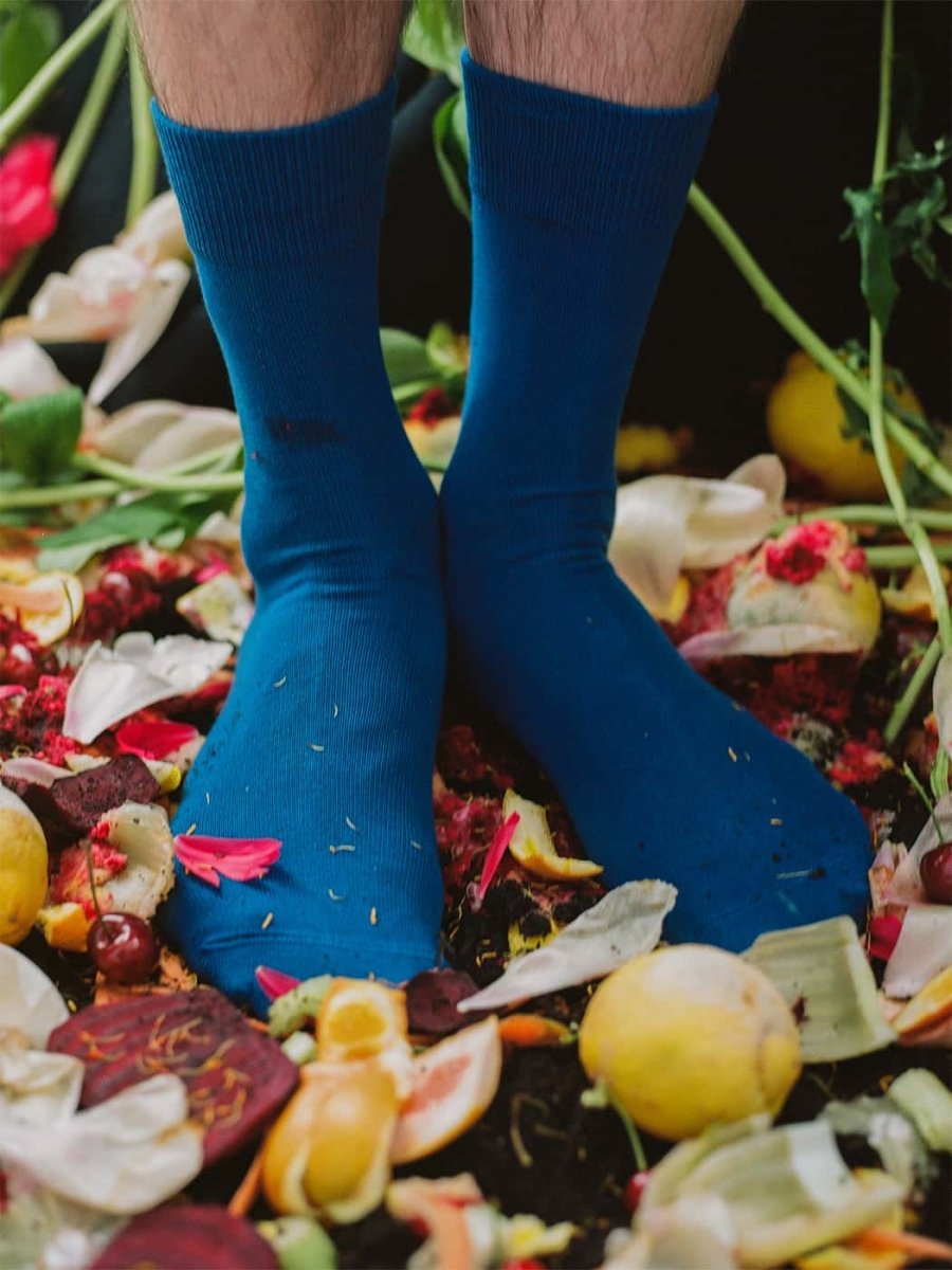 D-Compose Royal Blue (pack de 2)