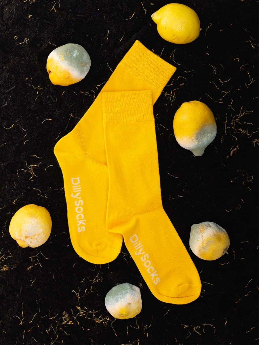 D-Compose Sunny Yellow (pack de 2)