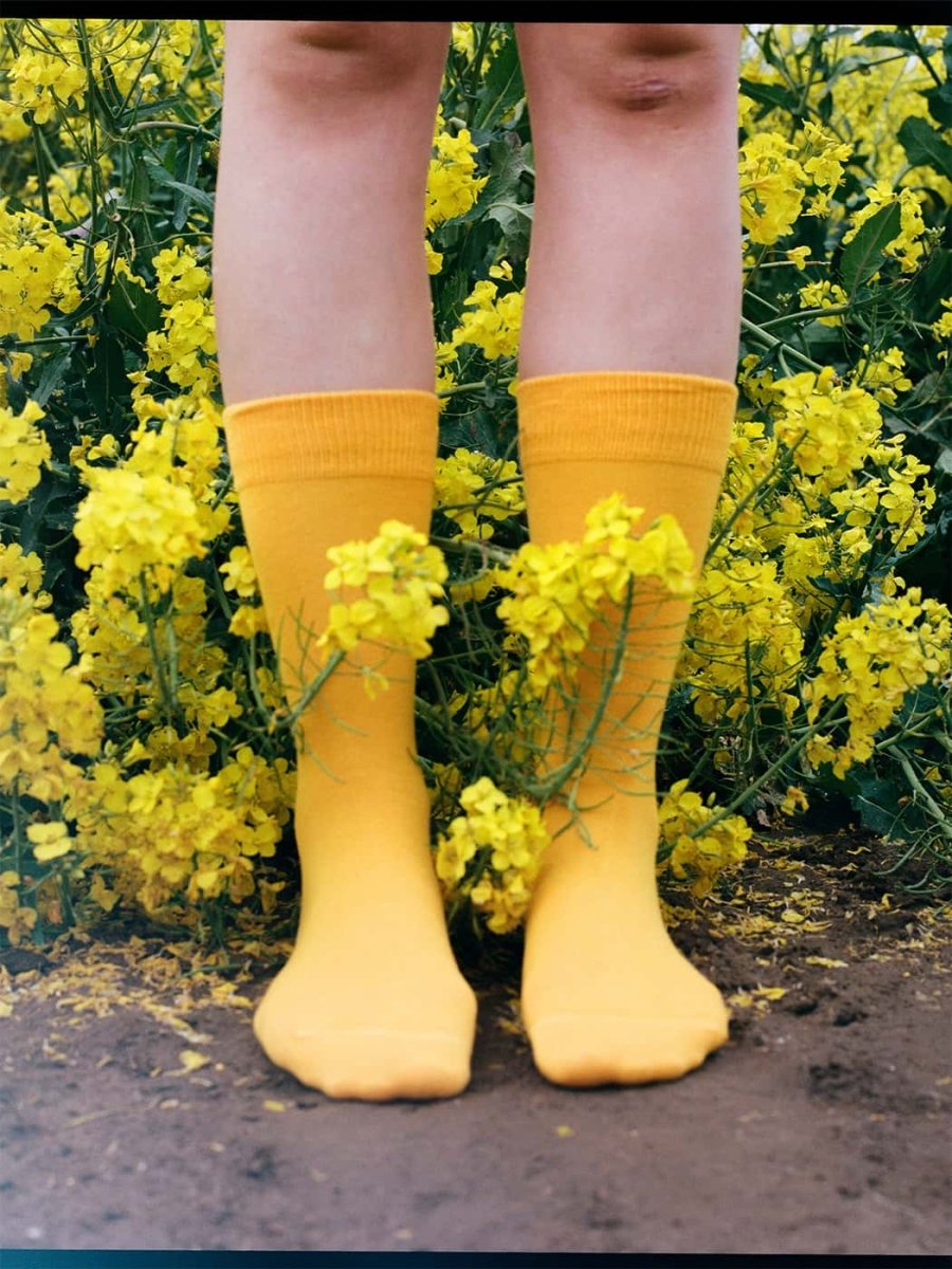 Socken - Sets D - Compose Sunny Yellow (2er Pack) von DillySocks