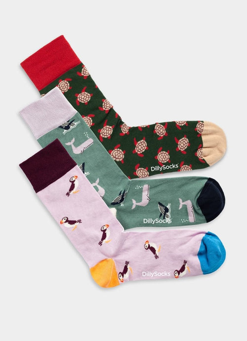 Socken - Sets Ocean Enthusiasts (3er Pack) von DillySocks
