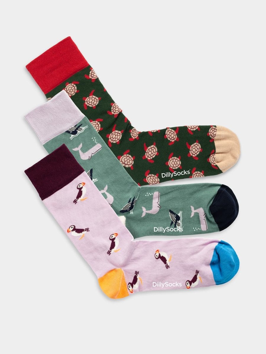 Socken - Sets Ocean Enthusiasts (3er Pack) von DillySocks