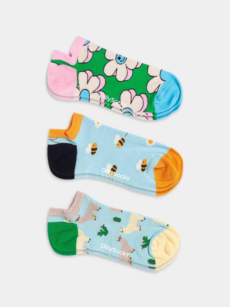 Socken Short Animal Attire (3er Pack) von DillySocks