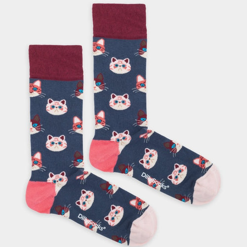 Socken Sky Kitten von DillySocks