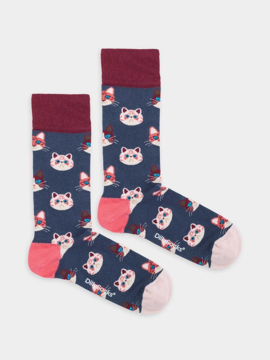 Socken Sky Kitten von DillySocks