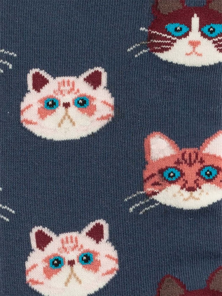 sky kittens