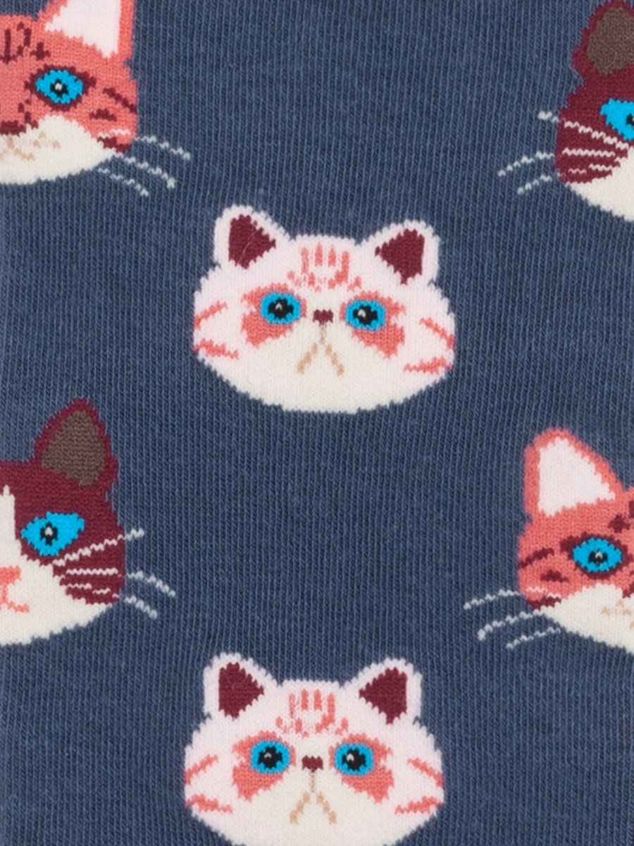 Socken Sky Kitten von DillySocks