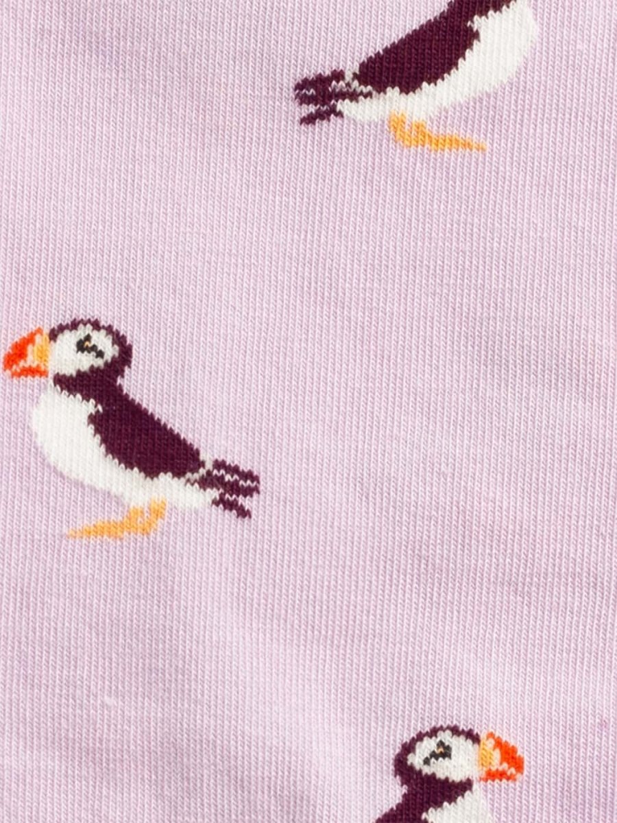 Special Bird
