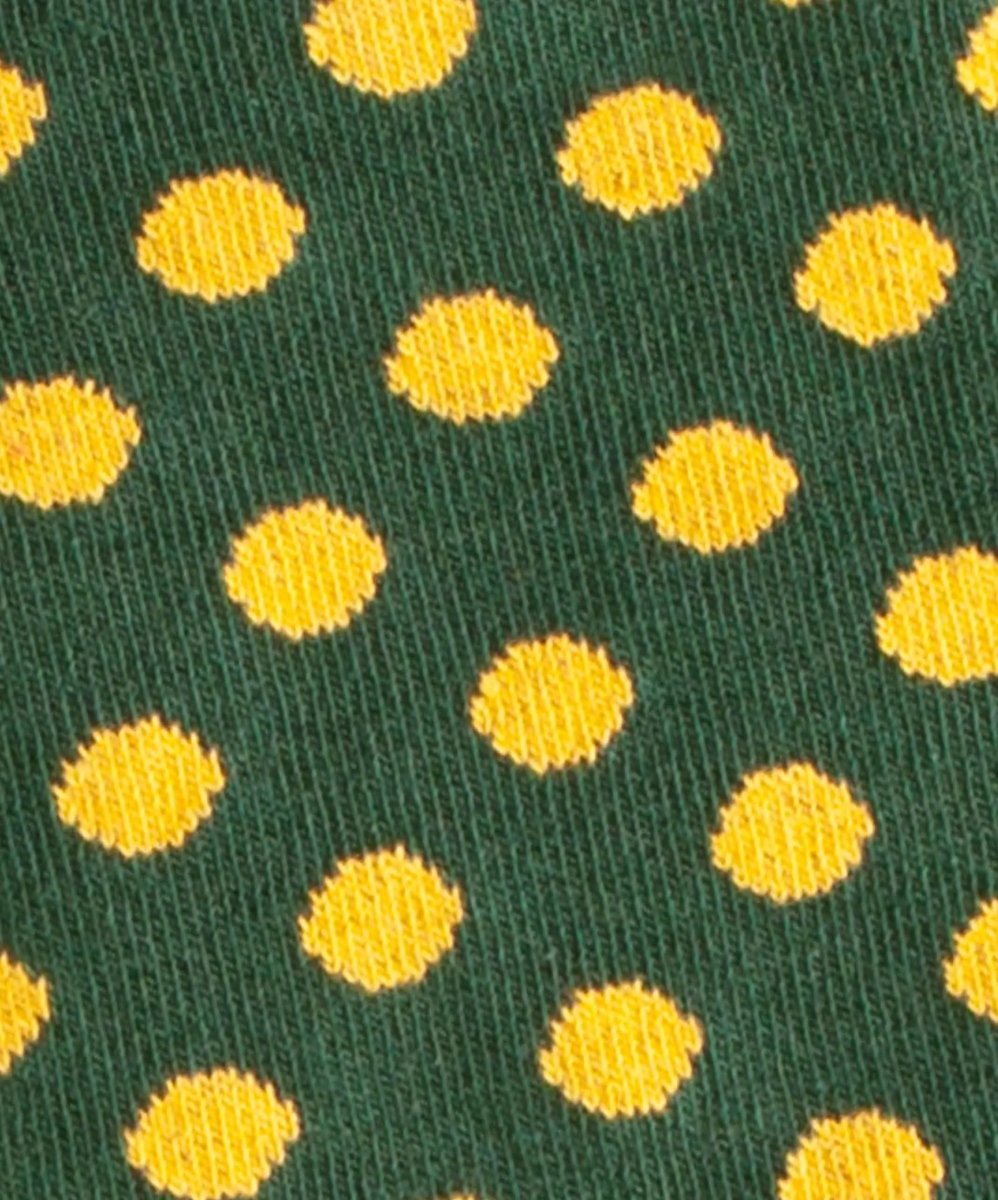 Sun Flower Field