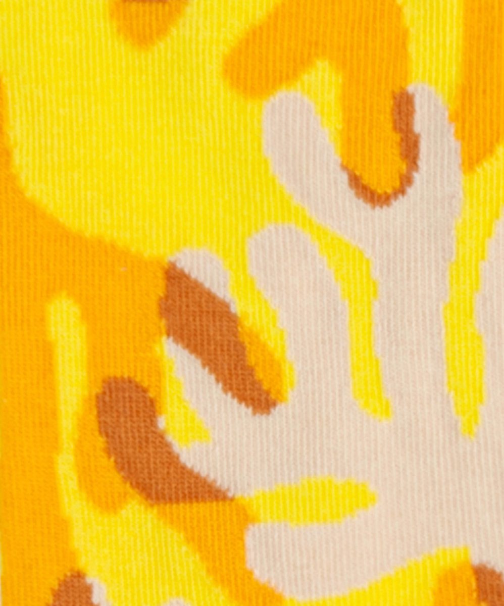 Sunshine Coral