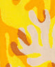 Sunshine Coral