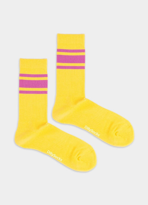 Socken Terry Piggy Bank von DillySocks