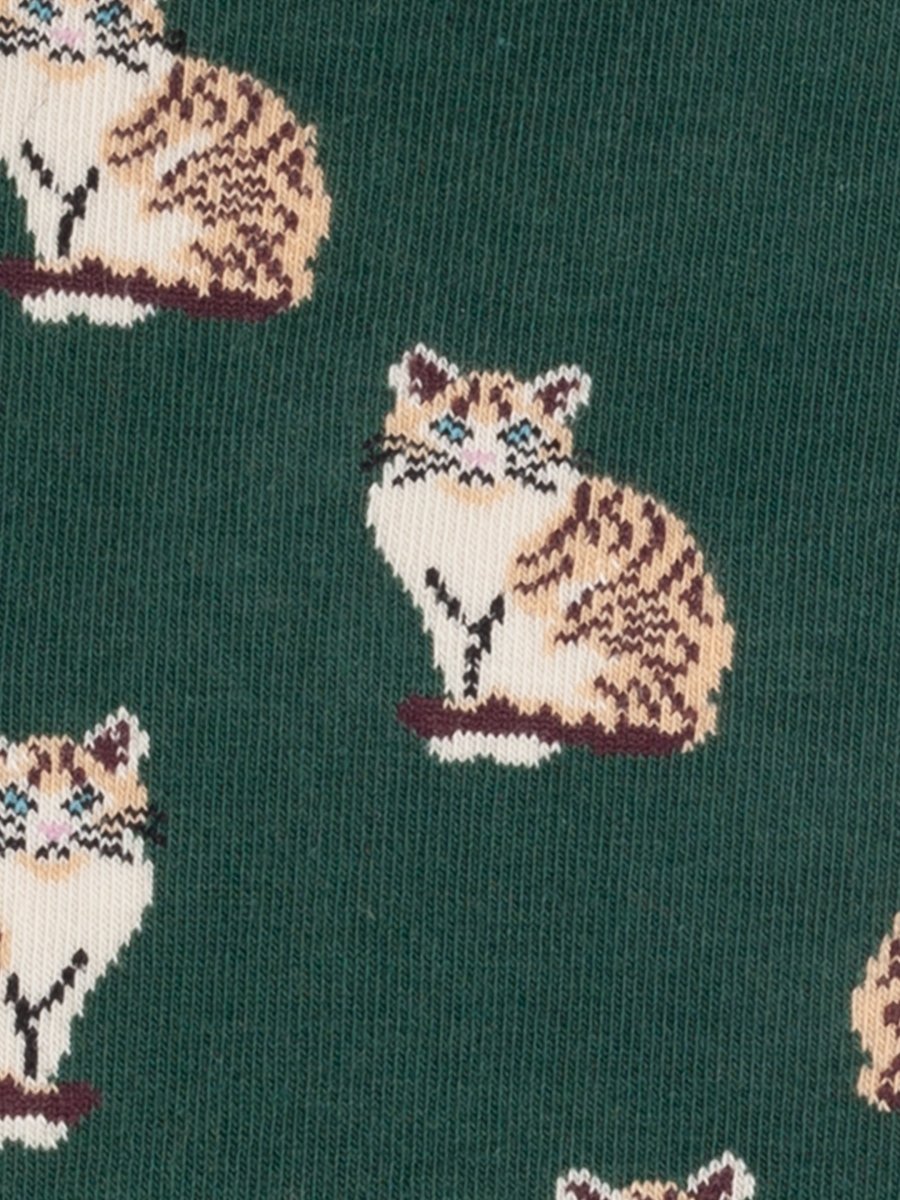 Socken Tiger Tails von DillySocks