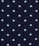 Tiny Rain Dots