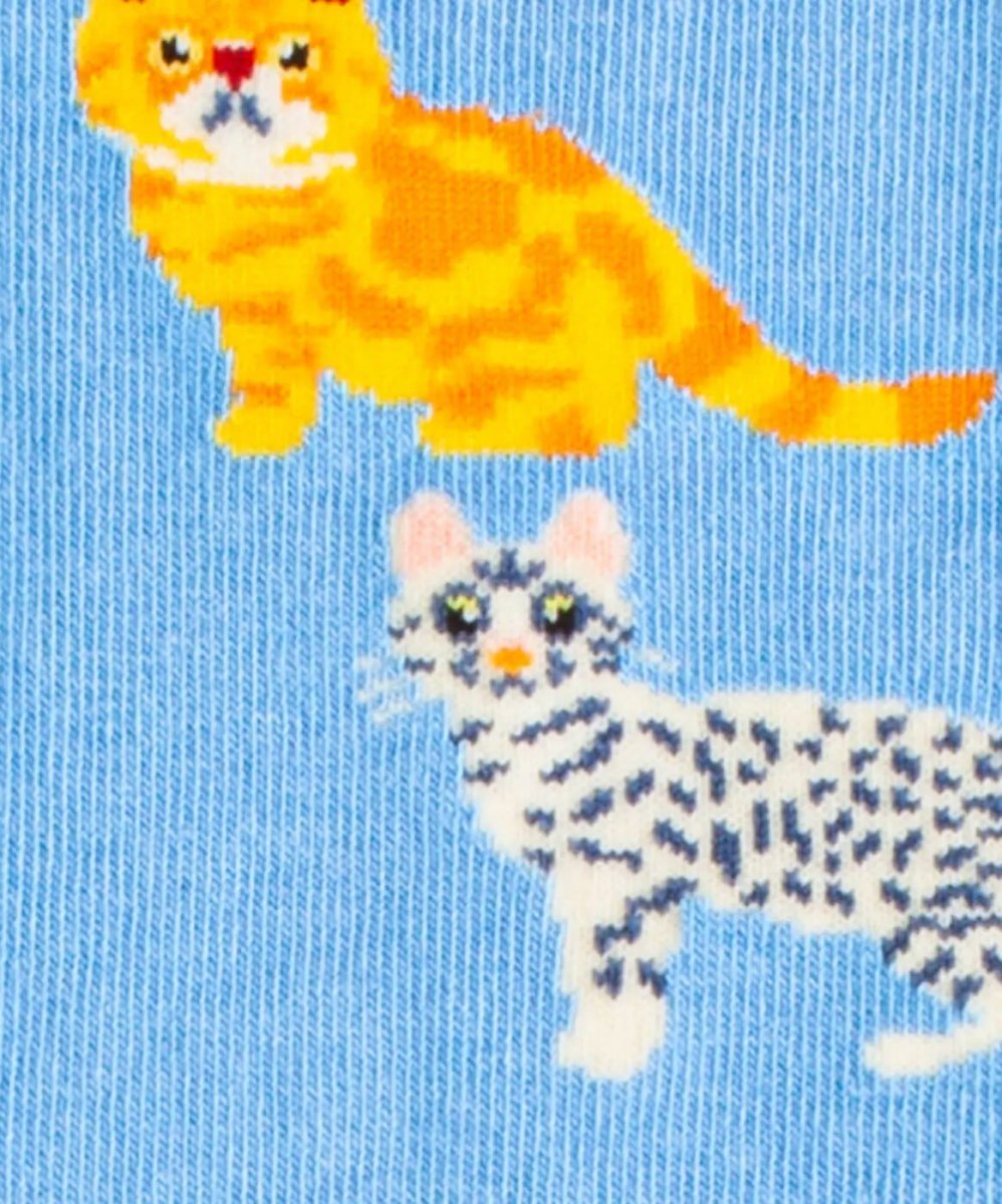 Water Cats