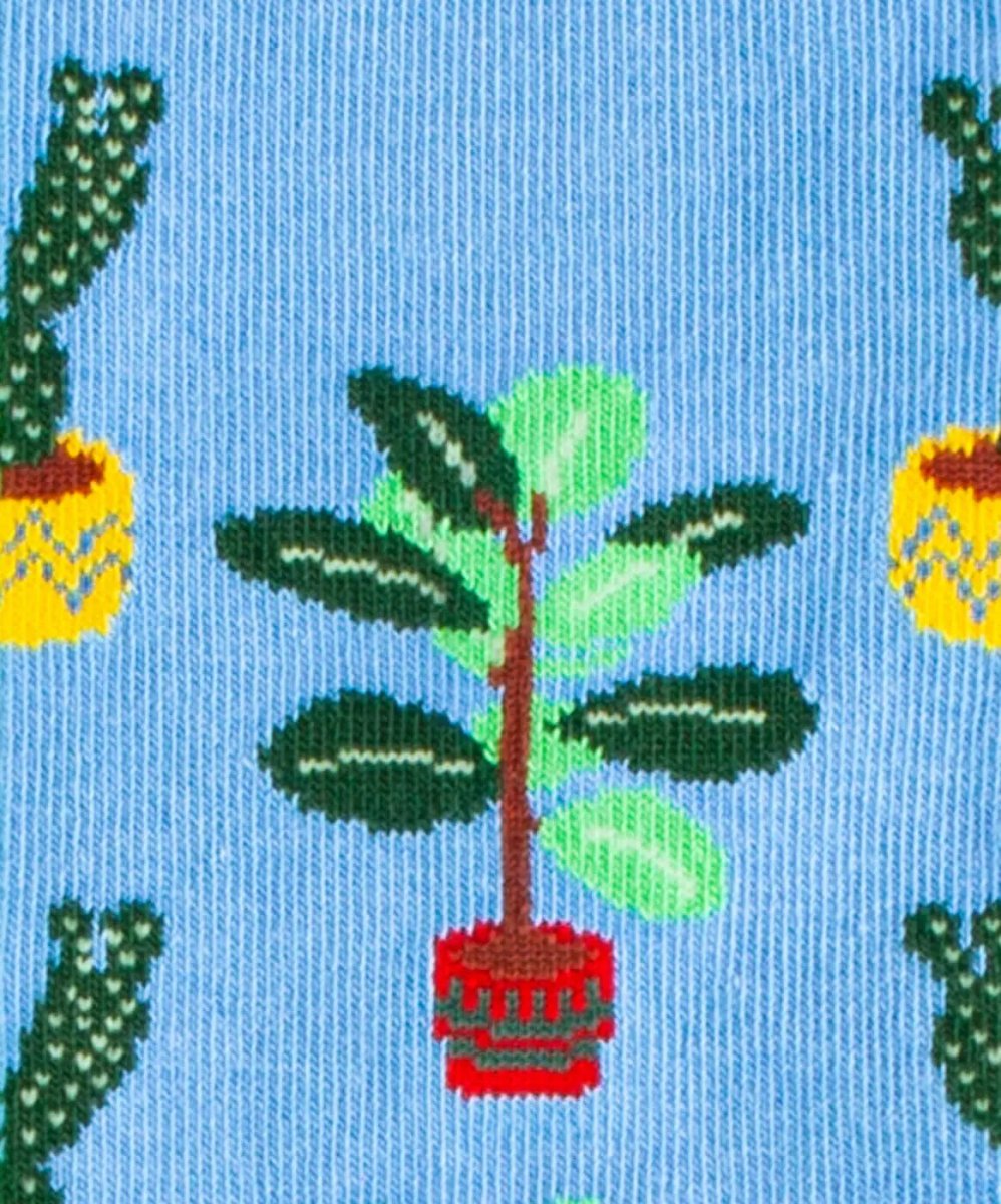 Water Plants