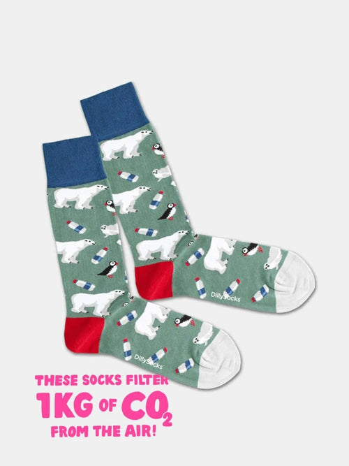 dilly socks Notre chaussettes: Winter Climate